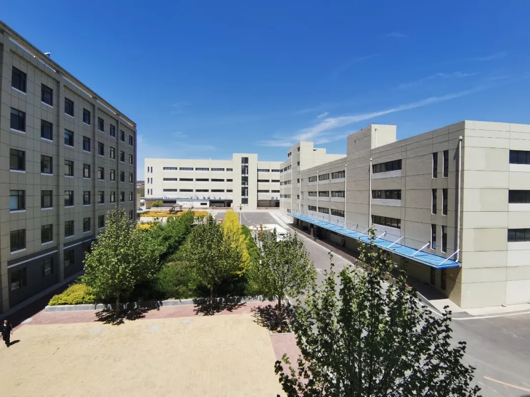 1621670758867828.jpg 2.webp.jpg