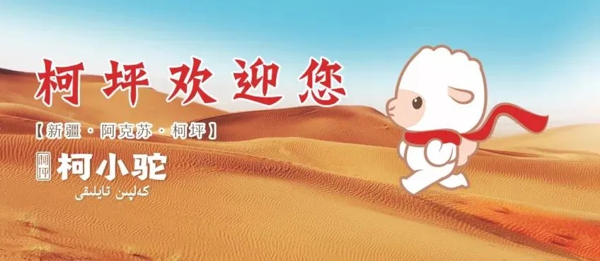 1610783479198984.jpg 6.webp.jpg