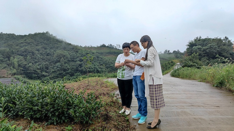 1628839905638488.jpg 2 小.jpg