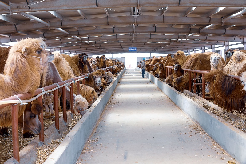 1639107666122222.jpg 微信图片_20211210090420.jpg